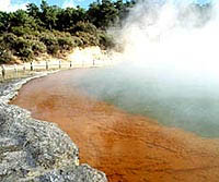 Champagne Pool at Wai-O-Tapu