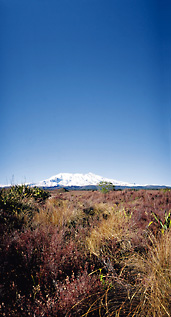 Mt Ruapehu & Tongariro National Park 