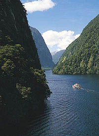 Milford Sound Day Tour