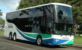 New Zealand Bus